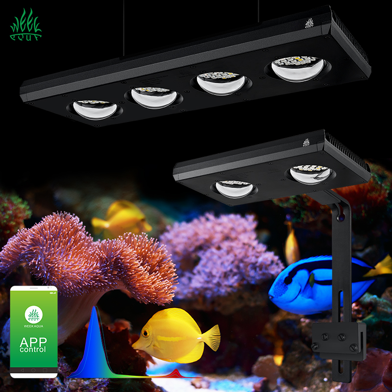 Marine Aquarium App - ZXY رائجة البيع WEEKAQUA Z250 Z400sea