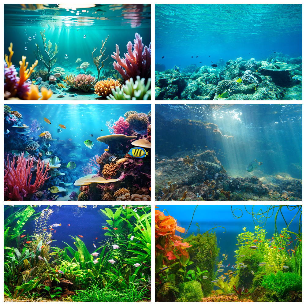 Aquarium Marine World - تحت الماء العالم قاع البحر التصوير