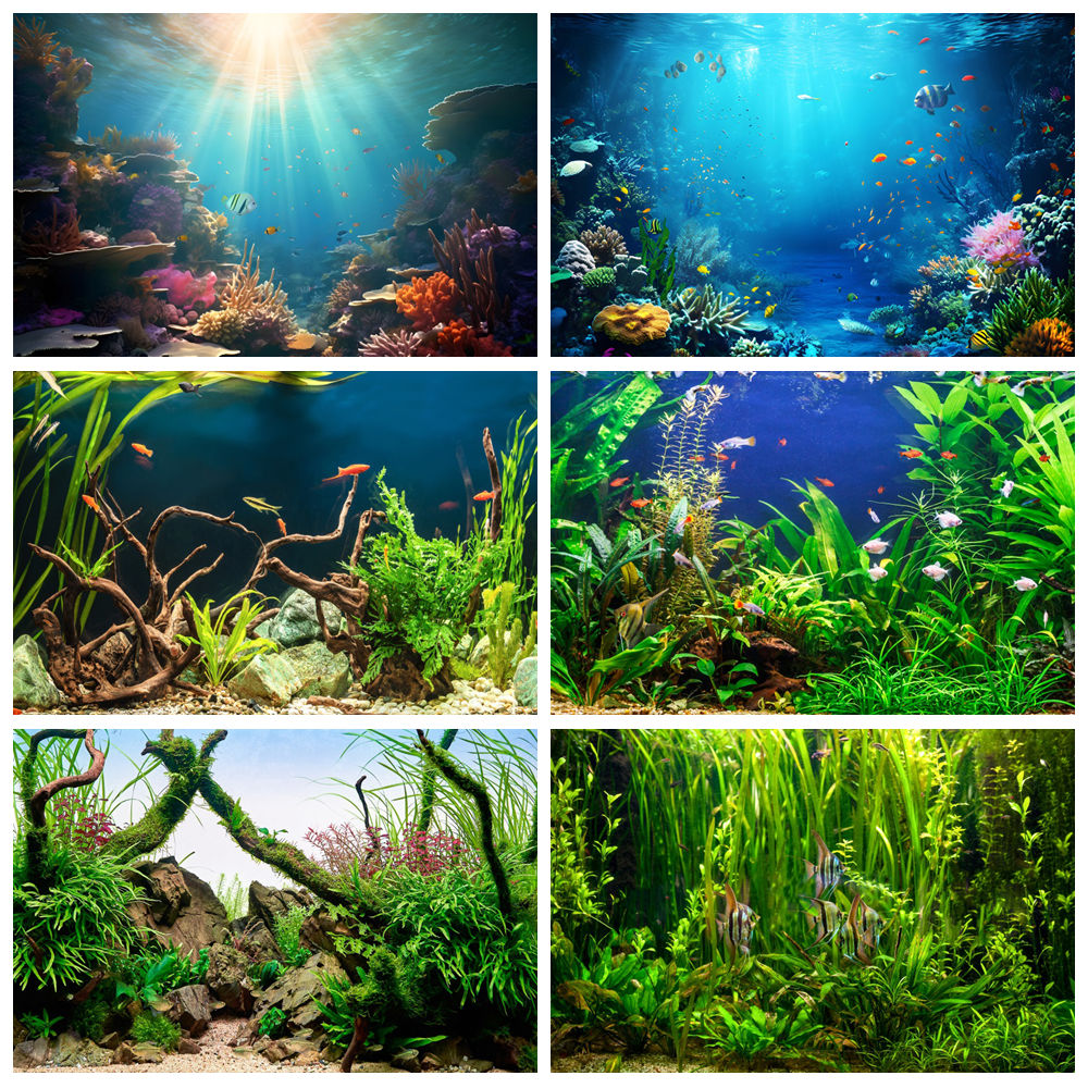تحت قاع البحر العالم التصوير خ - مراجعة Aquarium Marine World وسعره
