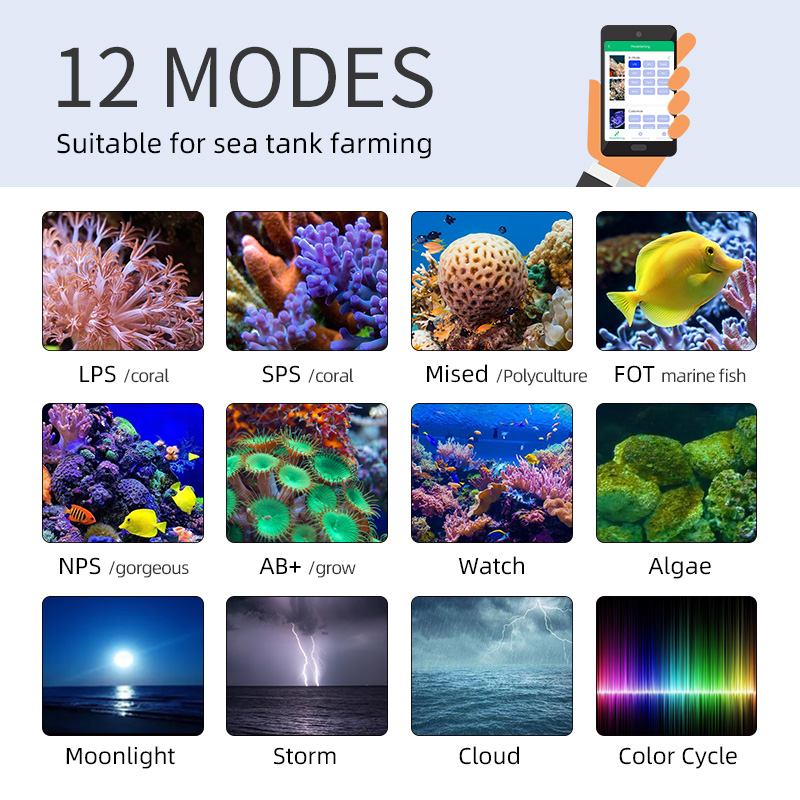 ZXY رائجة البيع WEEKAQUA Z250  - مراجعة Marine Aquarium App وسعره