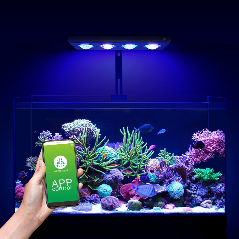 ZXY رائجة البيع WEEKAQUA Z250  - مراجعة Marine Aquarium App وسعره