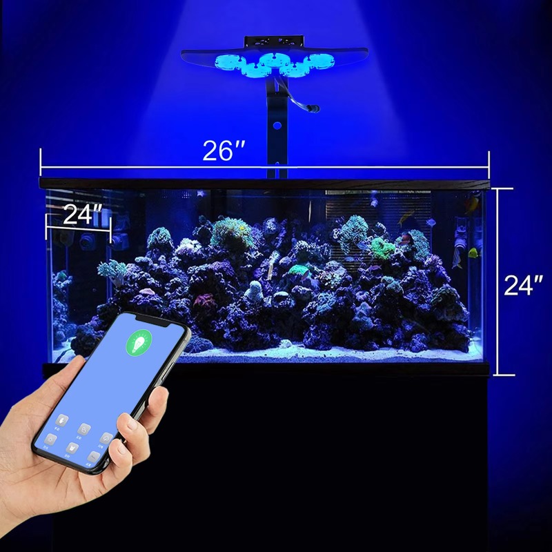 مصباح LED عالي السطوع لأحواض ا - مراجعة Marine Aquarium App وسعره