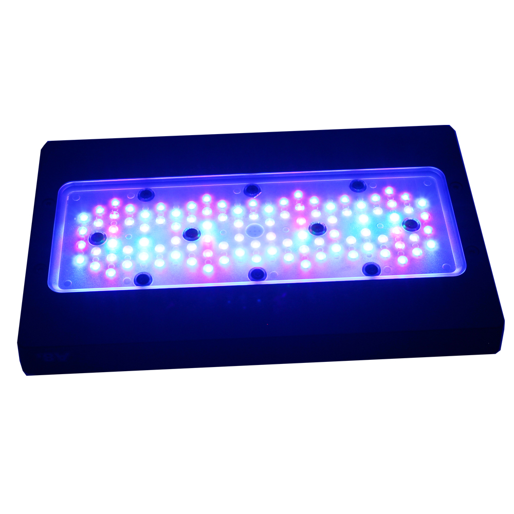 إضاءة LED ذكية A8 للشعاب المرج - مراجعة Marine Aquarium App وسعره