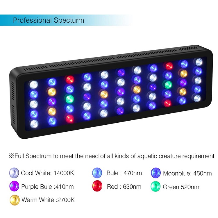 BT التحكم اللاسلكي لتقوم بها ب - مراجعة Marine Aquarium Price وسعره
