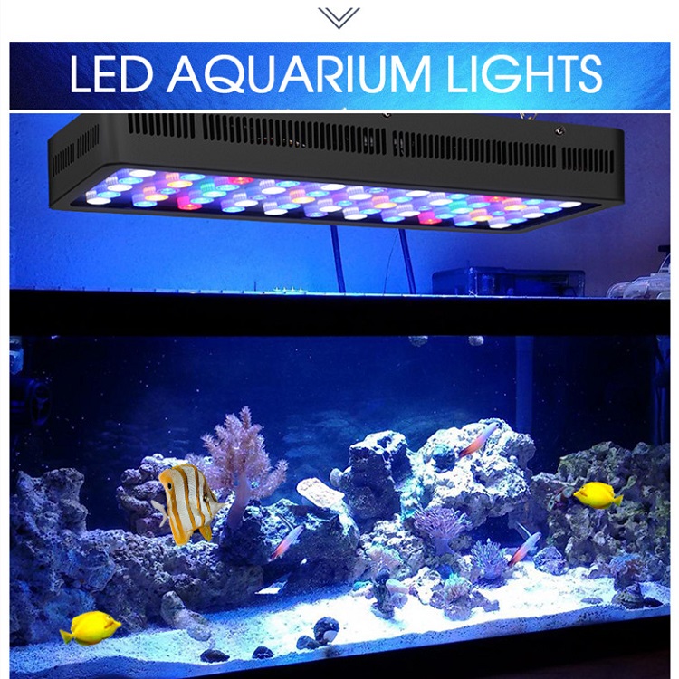 BT التحكم اللاسلكي لتقوم بها ب - مراجعة Marine Aquarium Price وسعره